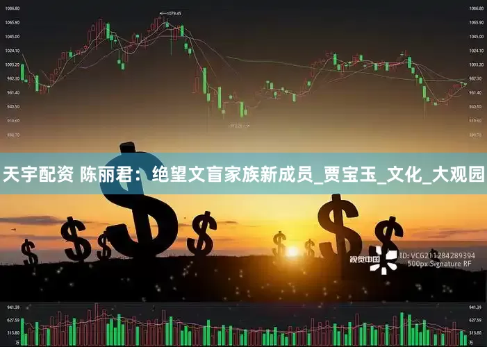 天宇配资 陈丽君：绝望文盲家族新成员_贾宝玉_文化_大观园